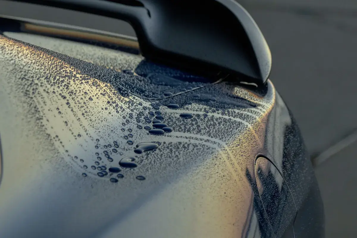 Water beading on ceramic coated paint of a Shelby GT350 showing hydrophobic protection